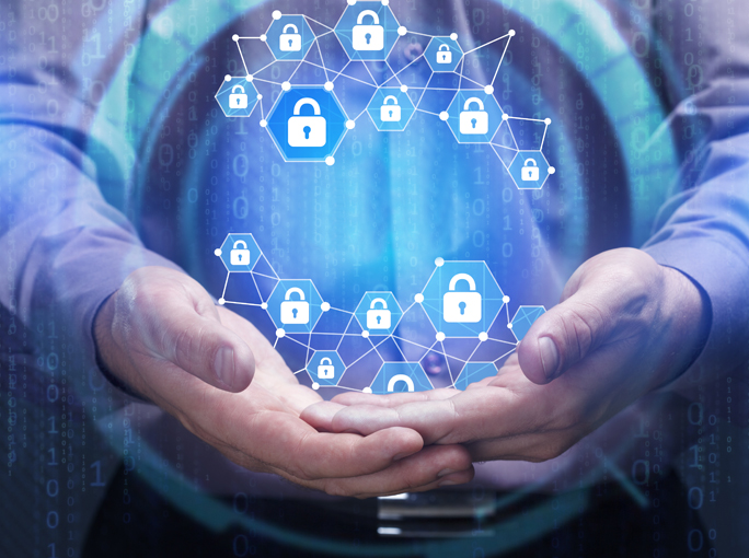 Protecting Data Privacy During the Turbulent 2020 COVID-19 Pandemic