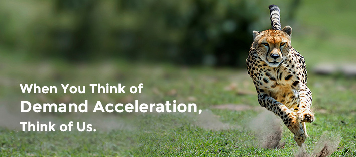 Tips & tricks for location-based paid search – one marketer’s perspective